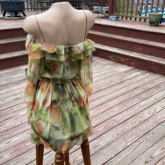 Zara Size Small Sheer Sleeve Ruffled Dress - Tags Attached - Picture 6 of 8